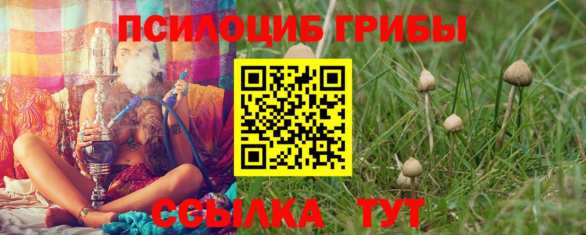 Псилоцибиновые грибы Psilocybe  Вход с VPN  Псилоцибиновые грибы Psilocybine cubensis  Арзамас 